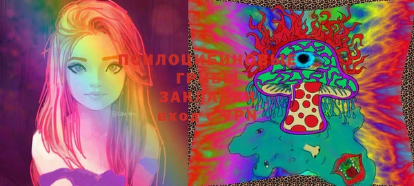 МДПВ Абинск