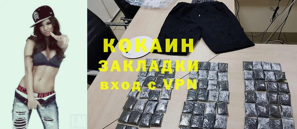 кокс Алексин